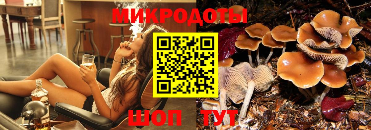 Жуковский  Галлюциногенные грибы MAGIC MUSHROOMS  даркнет сайт  Вход с VPN  Псилоцибиновые грибы Magic Shrooms 